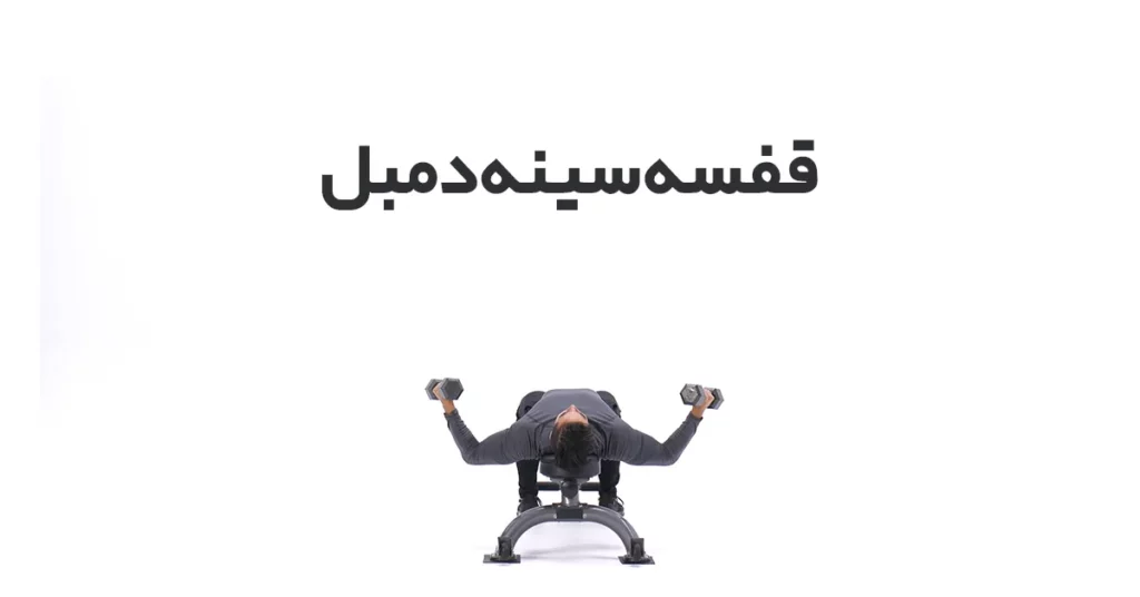 قفسه-سینه-دمبل
