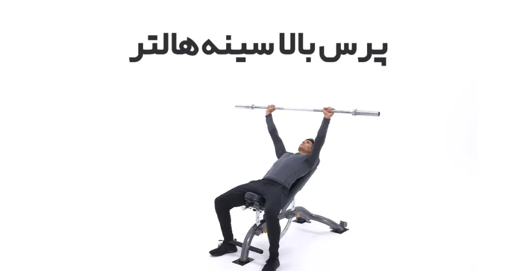 پرس-بالا-سینه-هالتر
