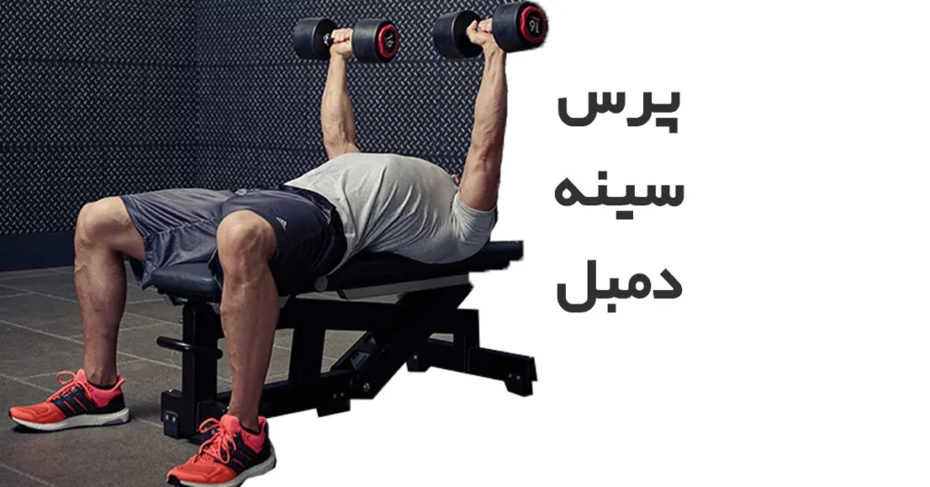 پرس-سینه-دمبل