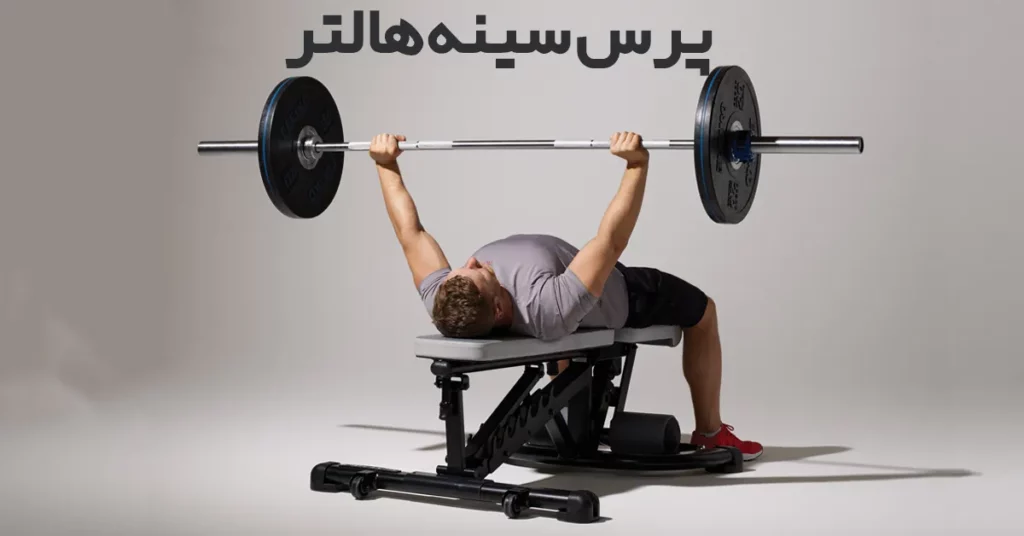 پرس-سینه-هالتر