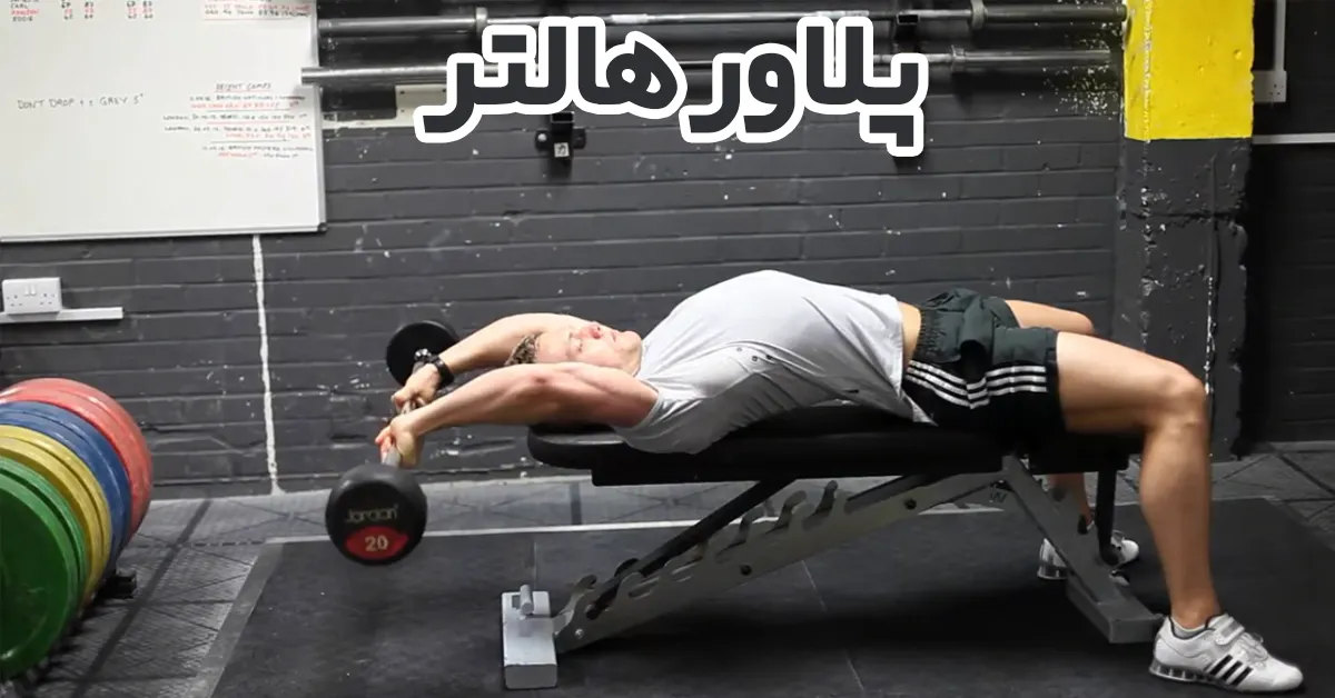 پلاور-هالتر