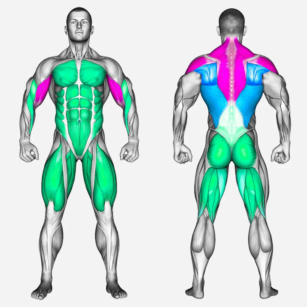 عضلات-درگیر-تی-بار-دستگاه