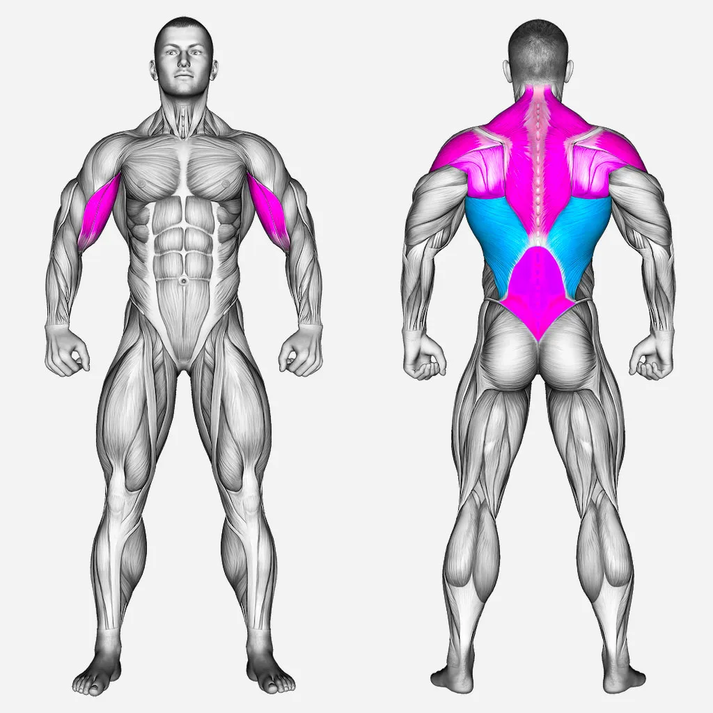 عضلات-درگیر-زیربغل-سیم-کش-دست-برعکس
