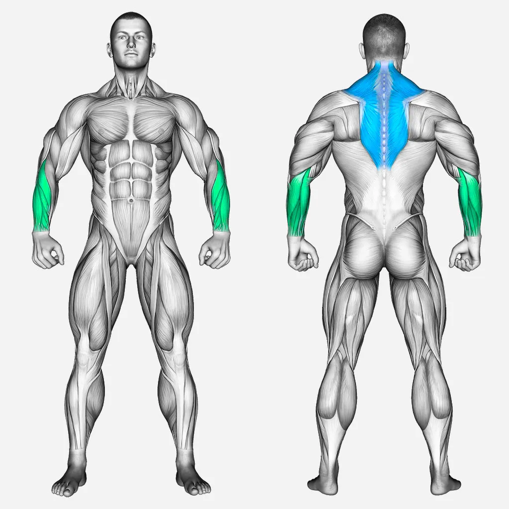 عضلات-درگیر-شراگ-دستگاه