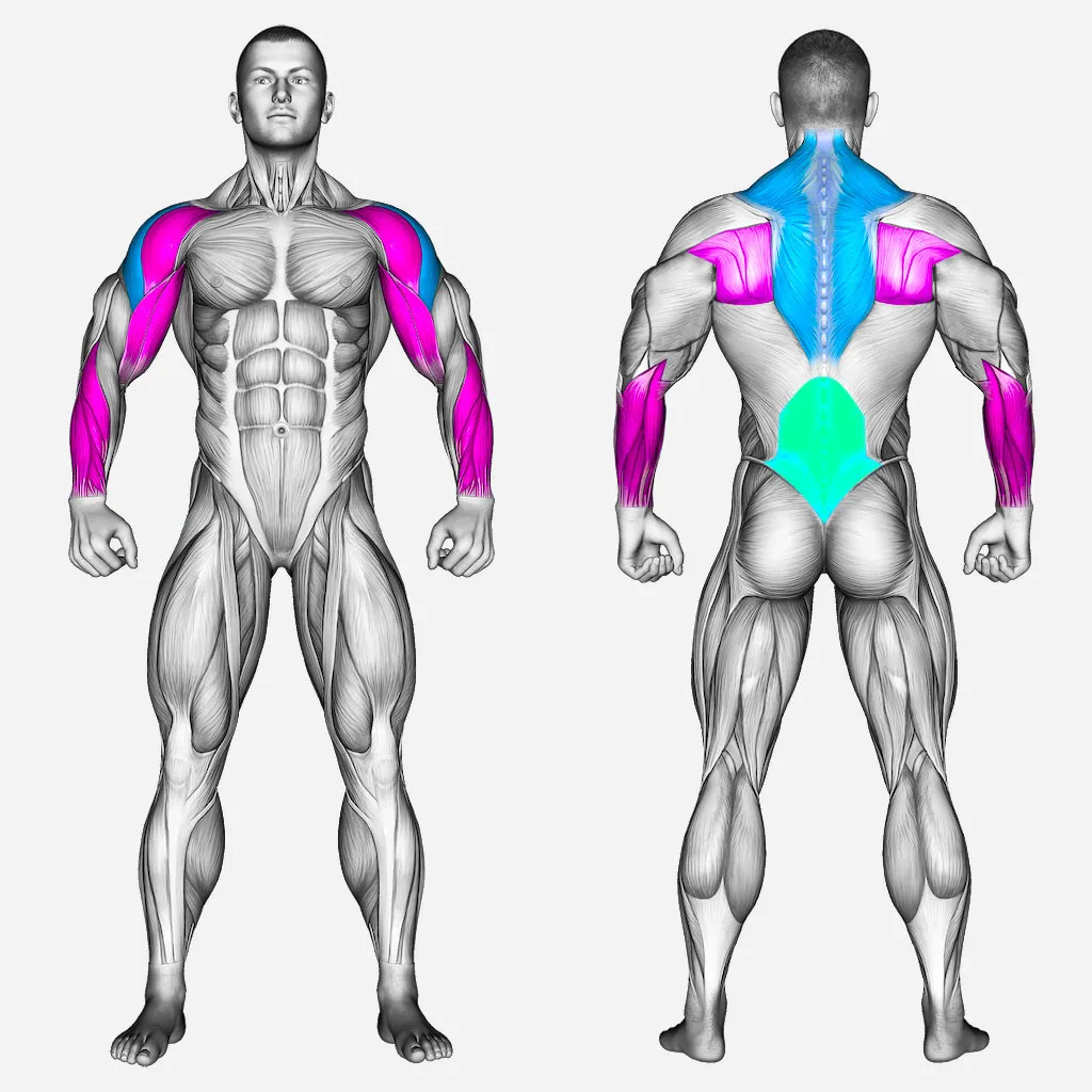 عضلات-درگیر-کول-دمبل