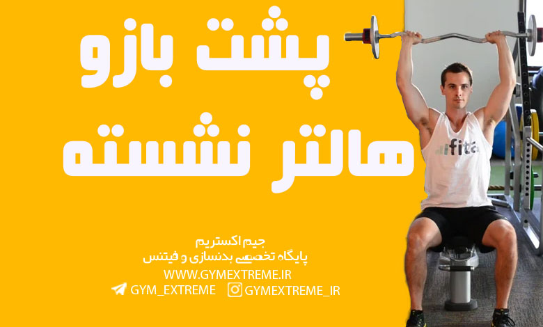 پشت-بازو-هالتر-نشسته
