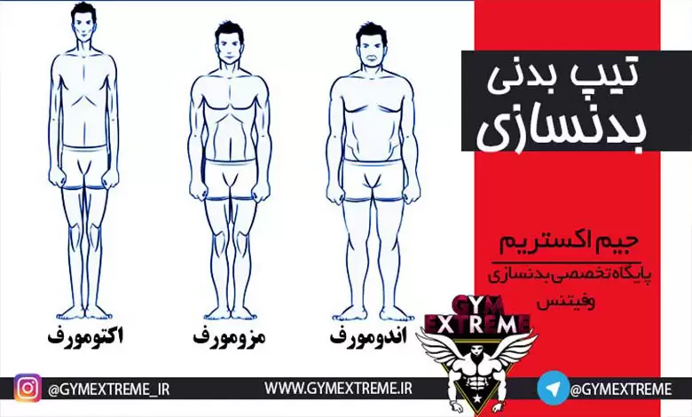 انواع تیپ بدنی