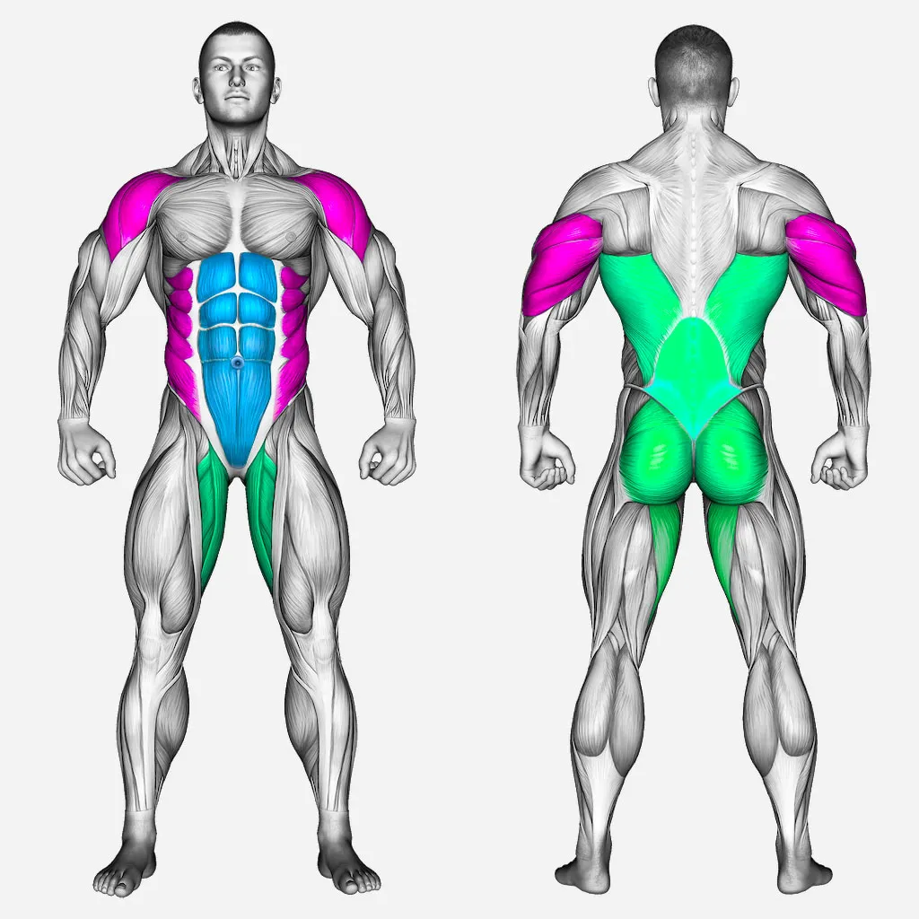 عضلات-درگیر-دراگون-فلگ