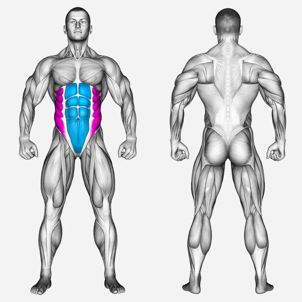 عضلات-درگیر-شکم-سیم-کش
