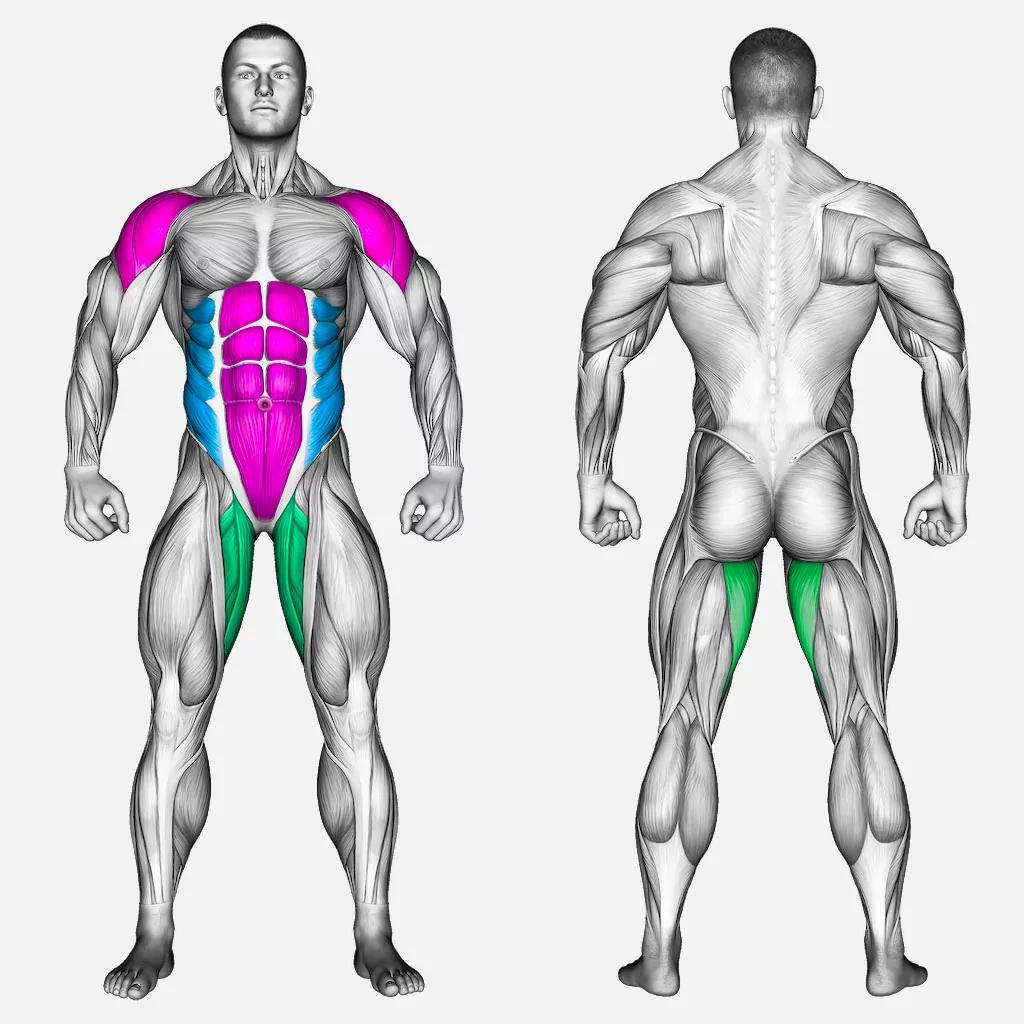 عضلات-درگیر-لندماین-چرخشی