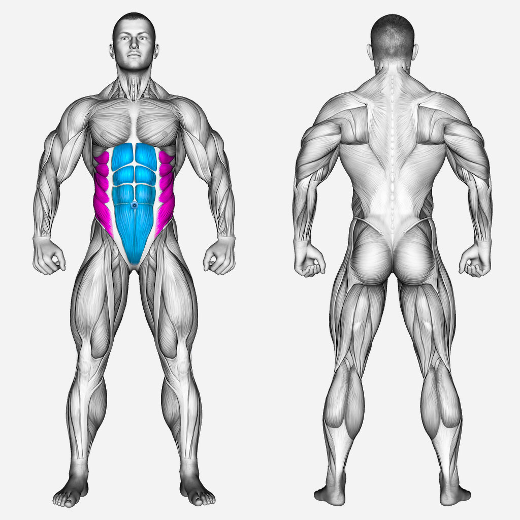 عضلات-درگیر-لگ-ریز-آویزان