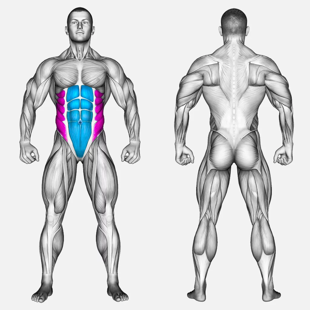 عضلات-درگیر-لگ-ریز-متناوب