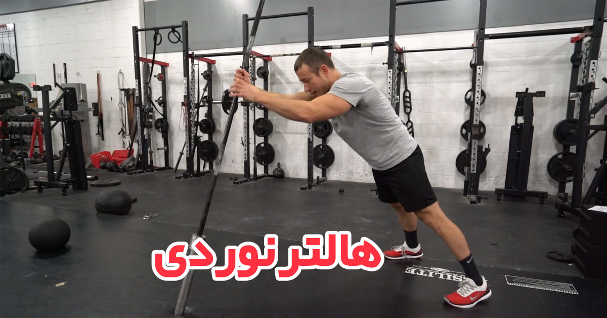 هالتر نوردی