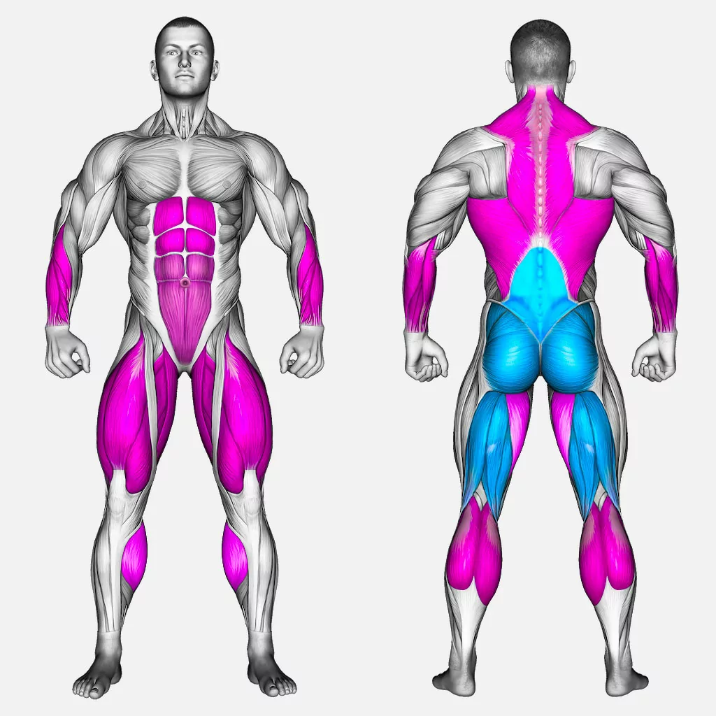 عضلات-درگیر-ددلیفت-پا-صاف