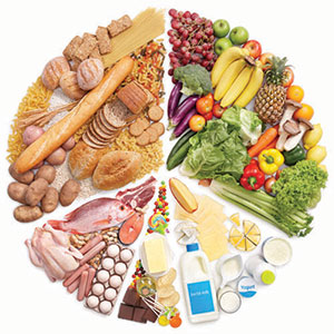 تغذیه مبتدی ها