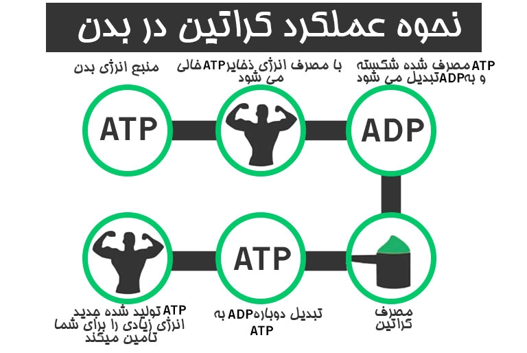 کراتین مورد نیاز روزانه